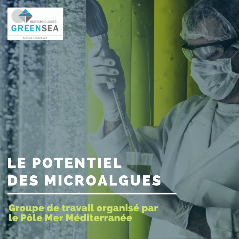 Greensea Greentech micro algues