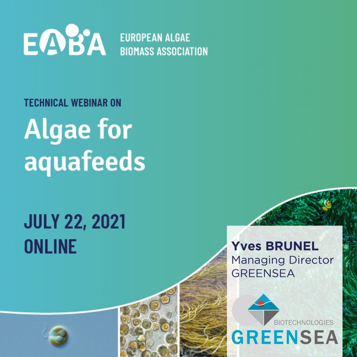 Greensea présent au webinar de l'EABA sur les algues pour l'aquaculture