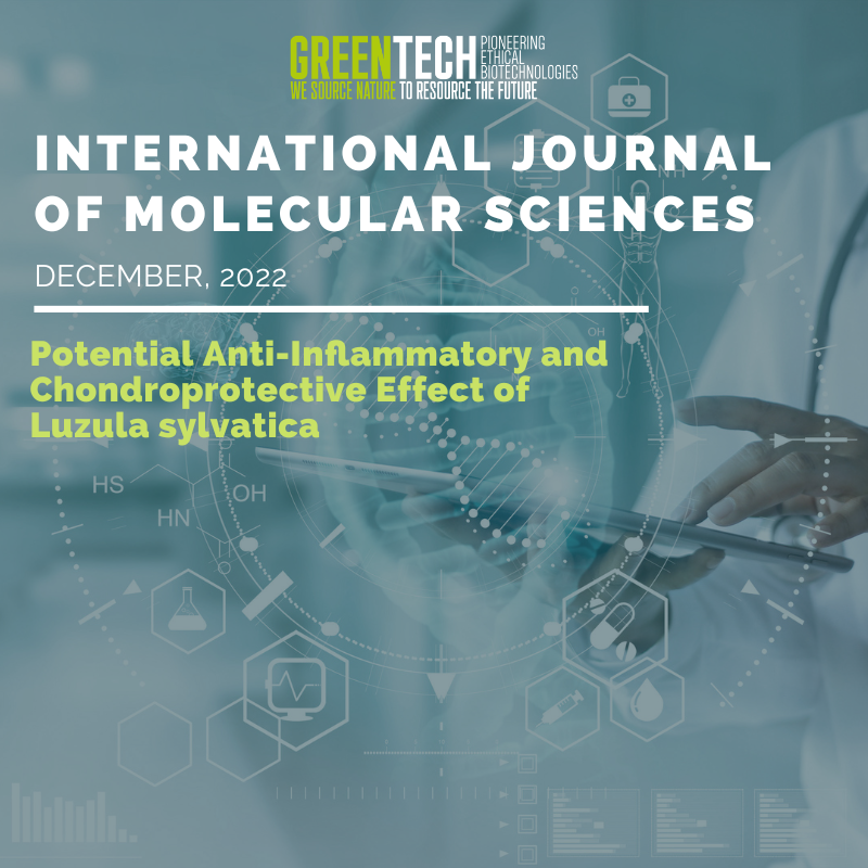 Potential Anti-Inﬂammatory and Chondroprotective Effect of Luzula sylvatica